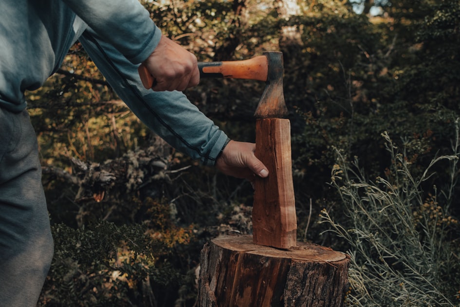 Stump Grinding: A Complete Guide